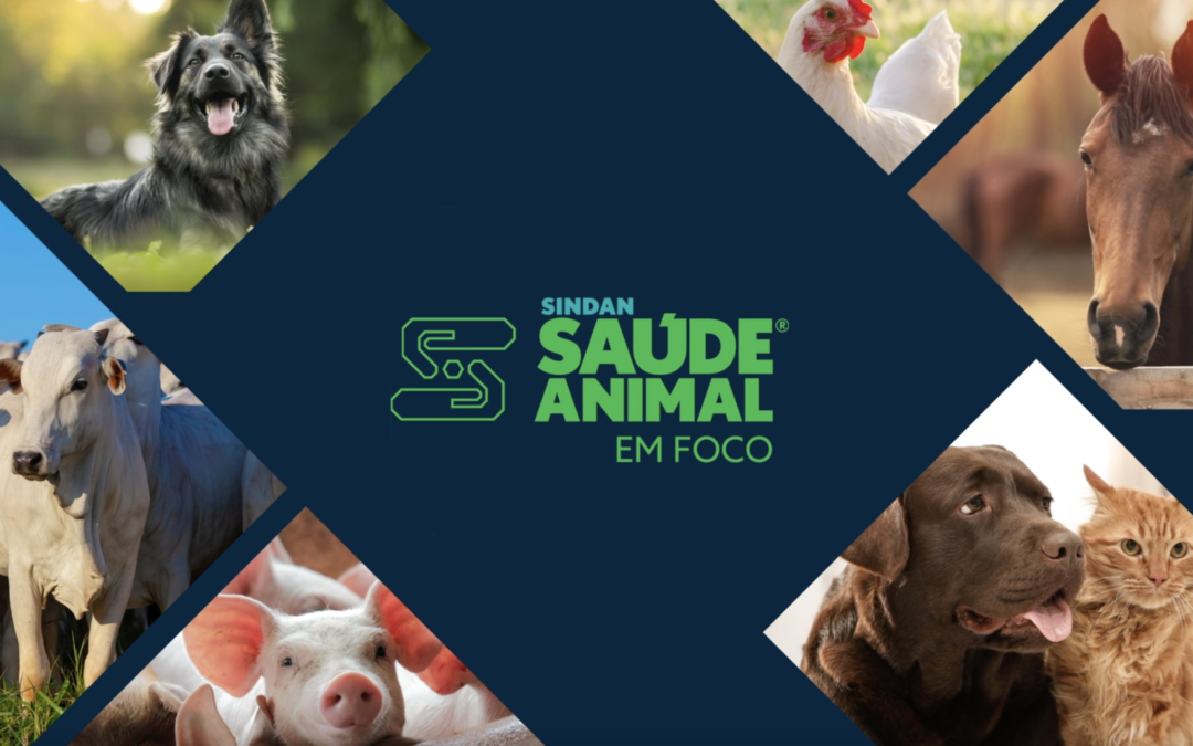 Sindan lança programa de entrevistas no YouTube para debater a saúde animal