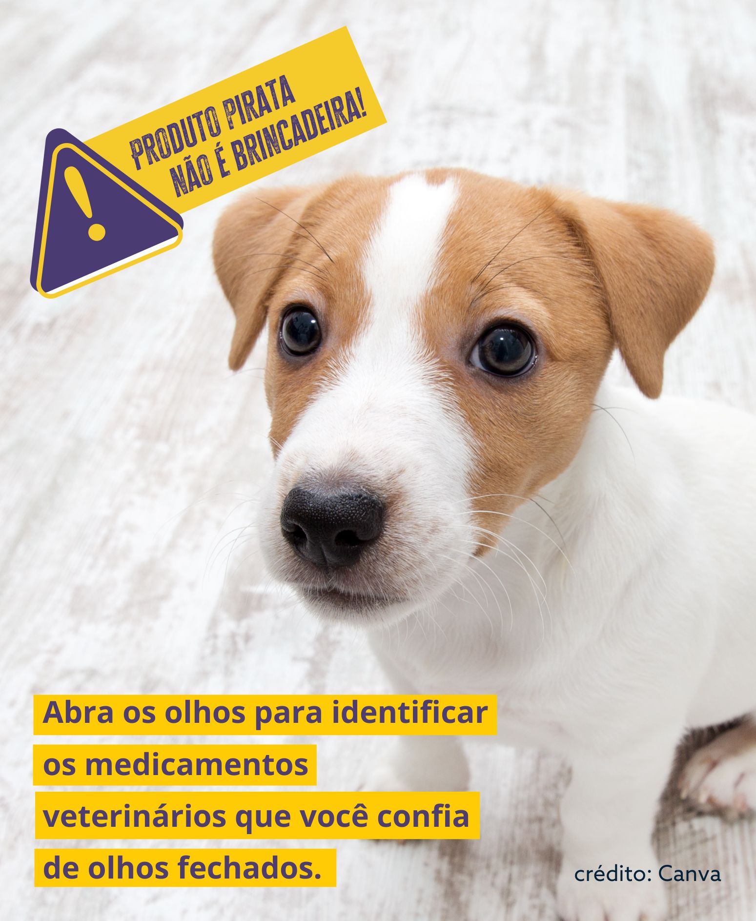 arte site interna piratataria