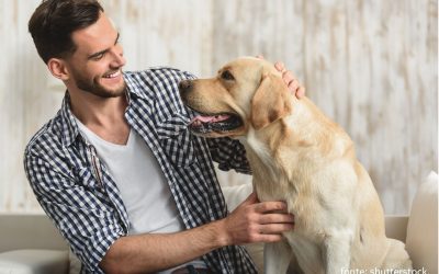 Qual tipo de tutor de animais de estimação você é?