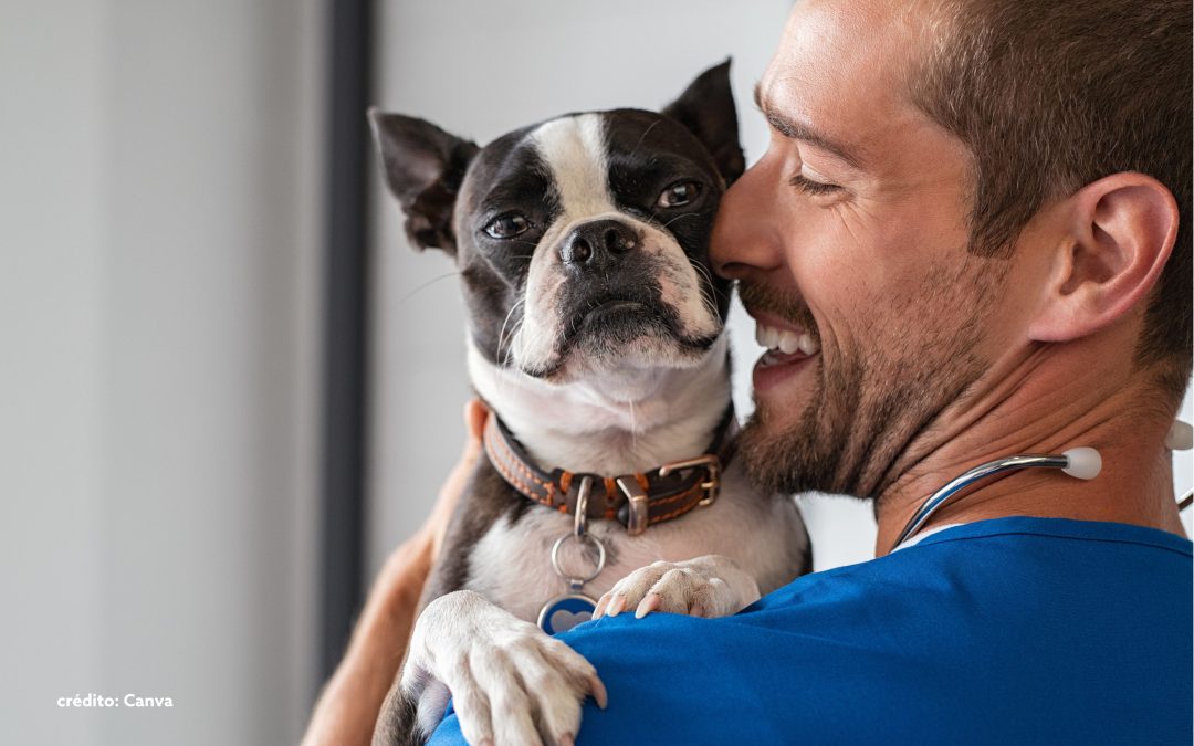 Veterinários autônomos transformam o setor pet com serviços personalizados e presença digital