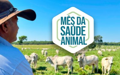 Sindan reforça alerta sobre brucelose durante o mês da saúde animal