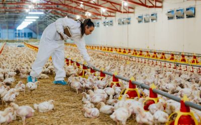 SINDAN adere ao movimento “Uso Consciente, Futuro Sustentável”